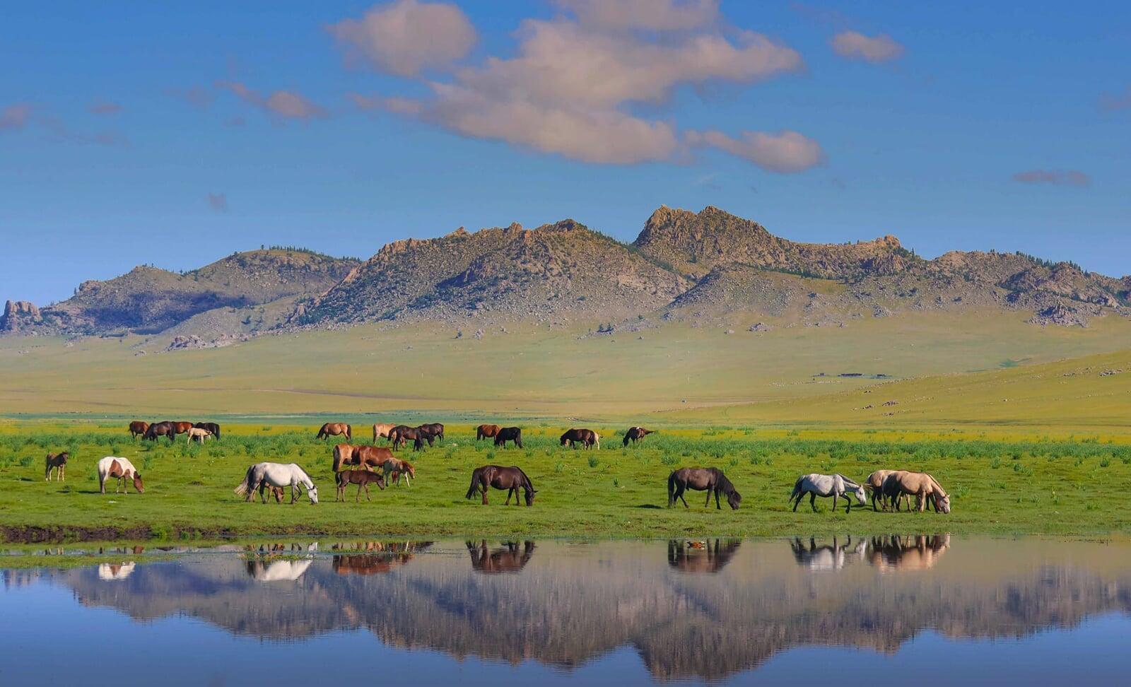 Horseback Riding in Mongolia: An Unforgettable Steppe Adventure